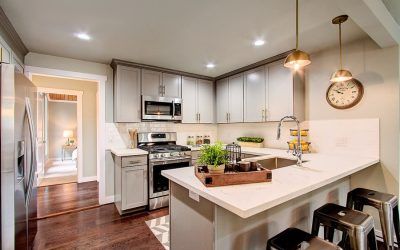 Mt Lake Terrace Remodel