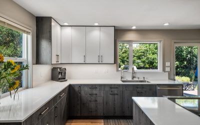 Zonavita People’s Choice Award Winner